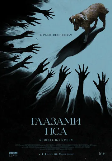 Глазами пса смотреть онлайн бесплатно в хорошем качестве на Кино Зюзя
